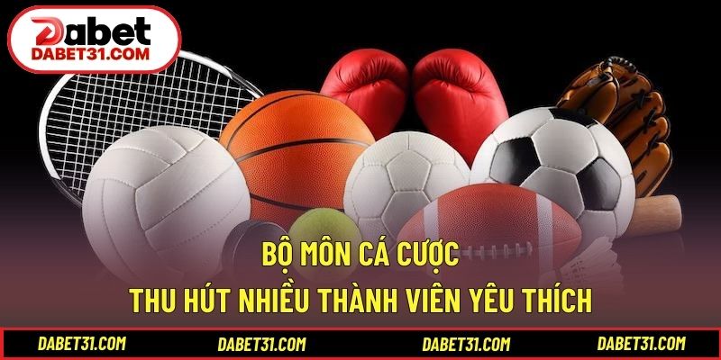 Bộ môn cá cược thu hút nhiều thành viên yêu thích