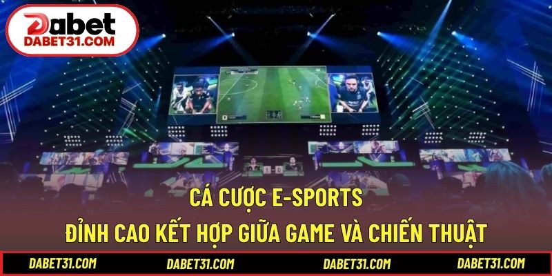 Cá Cược E-Sports - Đỉnh Cao Kết Hợp Giữa Game Và Chiến Thuật