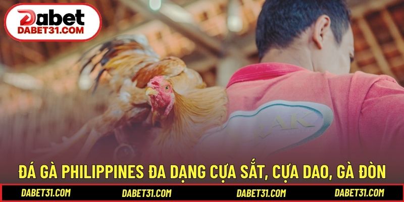 Đá gà Philippines đa dạng cựa sắt, cựa dao, gà đòn