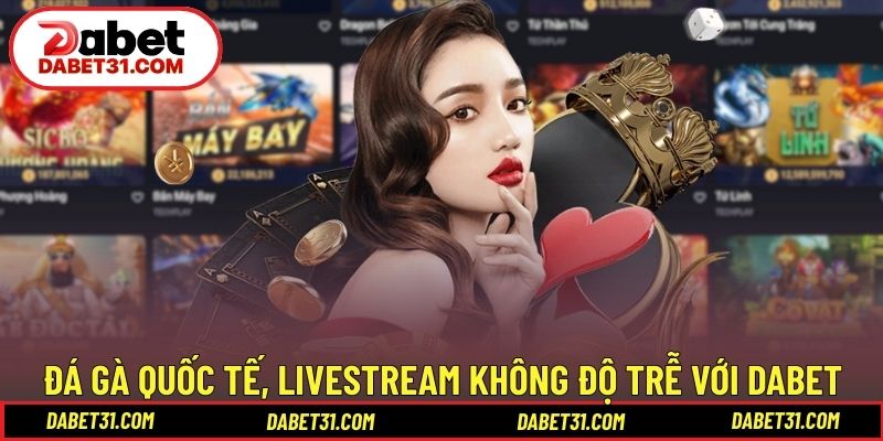 Đá Gà quốc tế, livestream không độ trễ với DABET