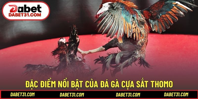 Đặc điểm nổi bật của đá gà cựa sắt Thomo