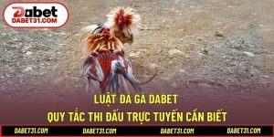Luật đá gà